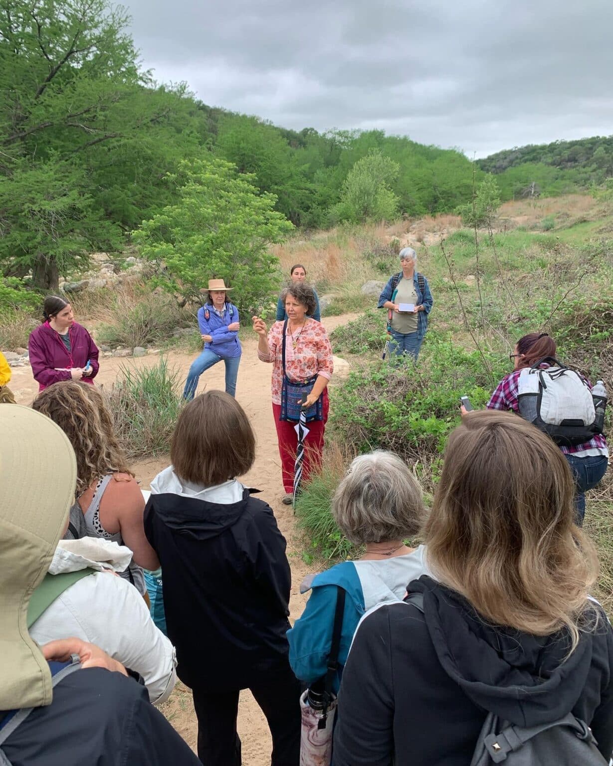 outside with with ginger webb on a plant walk.
