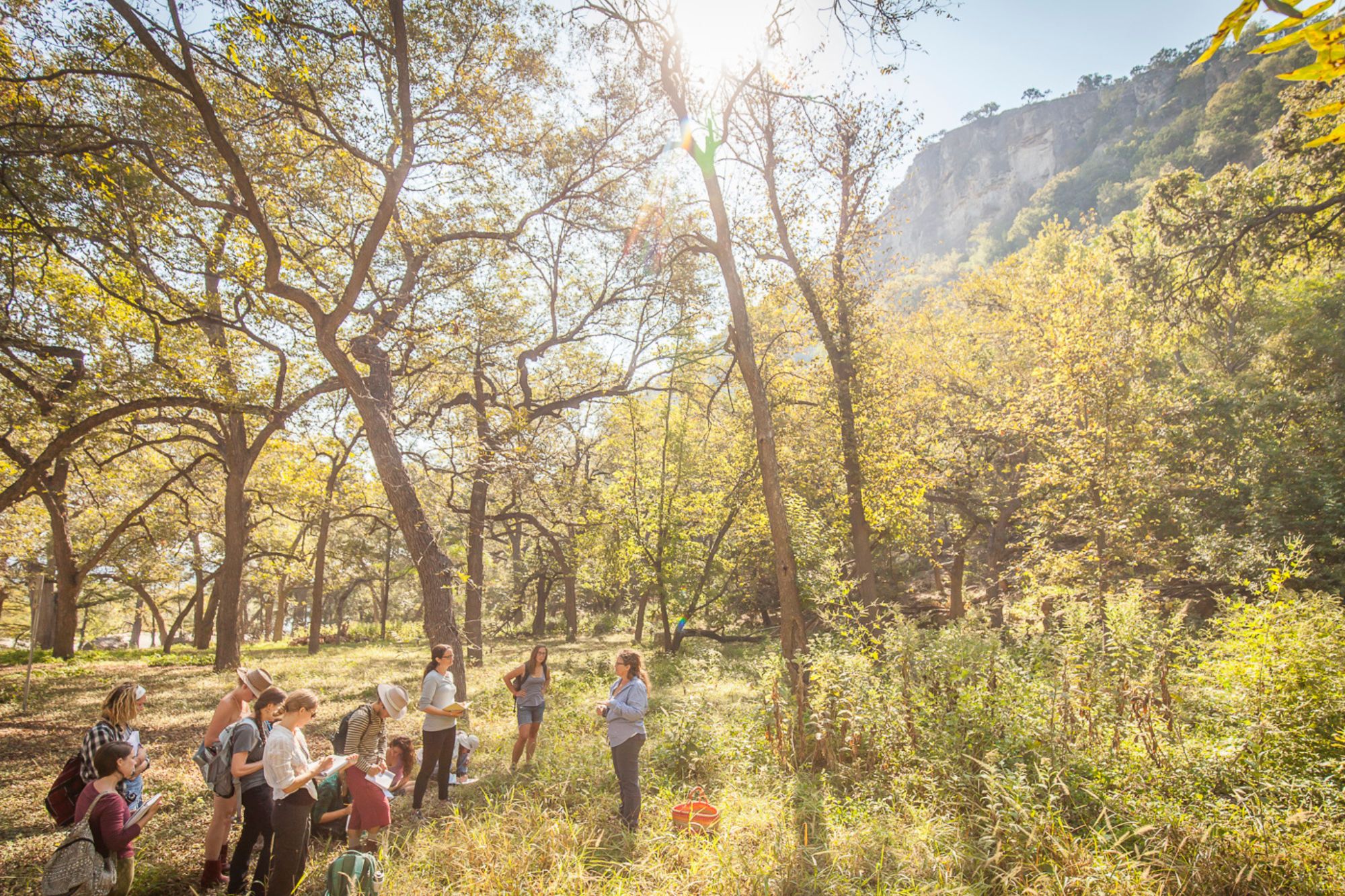 Sacred Journey School Of Herbalism Courses Online & Austin, TX