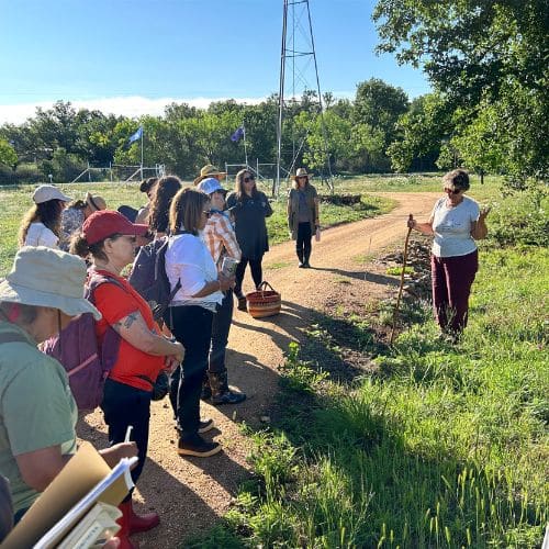 group of people gathered on dirt path listening to ginger webb talk about local medicinal herbs